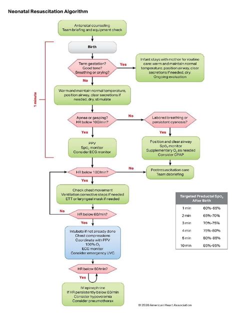 Neonatal Resuscitation | PDF