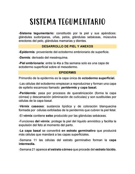 Sistema Tegumentario Embriologia Humana SISTEMA TEGUMENTARIO