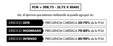 EducaciÓn FÍsica Ies Nit De LalbÀ Frecuencia CardÍaca