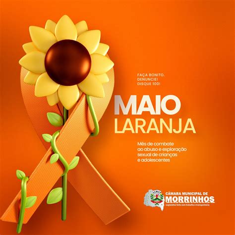 CÂmara De Morrinhos Apoia A Campanha Do Maio Laranja Câmara Municipal