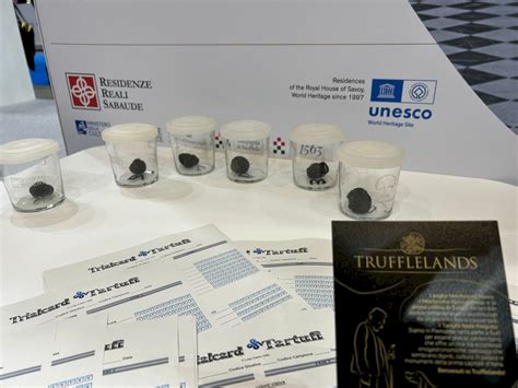 Presentato Alla BIT Di Milano Il Progetto Trufflelands Cuneodice It