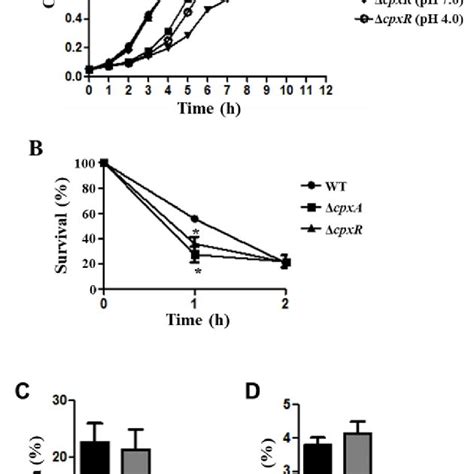 The Function Of CpxAR In Acid Resistance And Virulence Of S Derby A