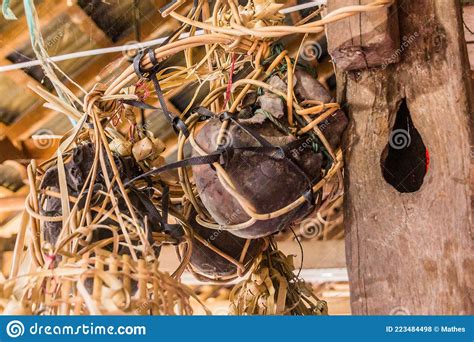 Human Skulls In A Traditional Longhouse Near Batang Rejang River