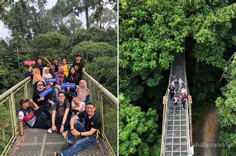 Tempat Menarik Di Sepilok Sandakan Yang Wajib Anda Kunjungi