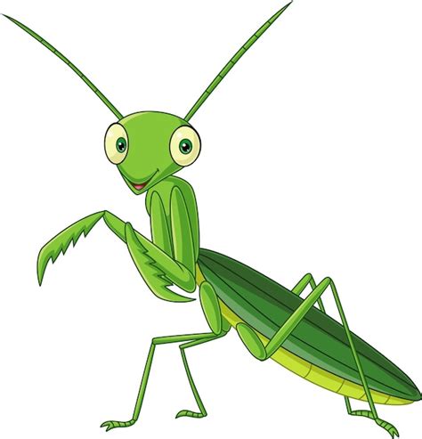 Mantis Verde Dos Desenhos Animados No Fundo Branco Vetor Premium