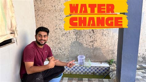 Aaj Water Change Kar Diya Baby Fish Pond Ka Petsvlog YouTube