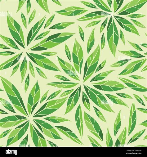 Leaves Which Plant Stock Vector Images Alamy