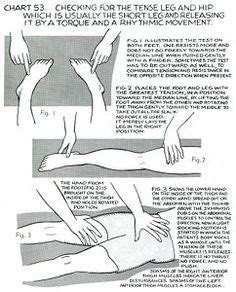 Polarity Therapy Volume Book Chart Polarity Therapy Body