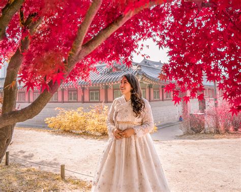 gyeongbokgung-autumn-red-maple-copy - Gina Bear's Blog