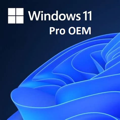 Windows 11 Pro OEM Lisans Key JetLisans