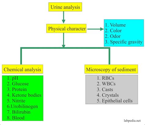 Protein 1 In Urine Means Protein Info