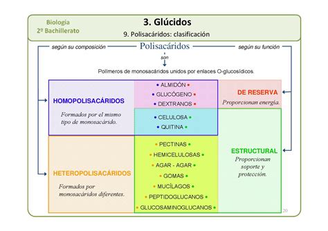 2º BAC AMPLIACION Presentacion T 03 Glucidos 2012 CALAMEO Downloader