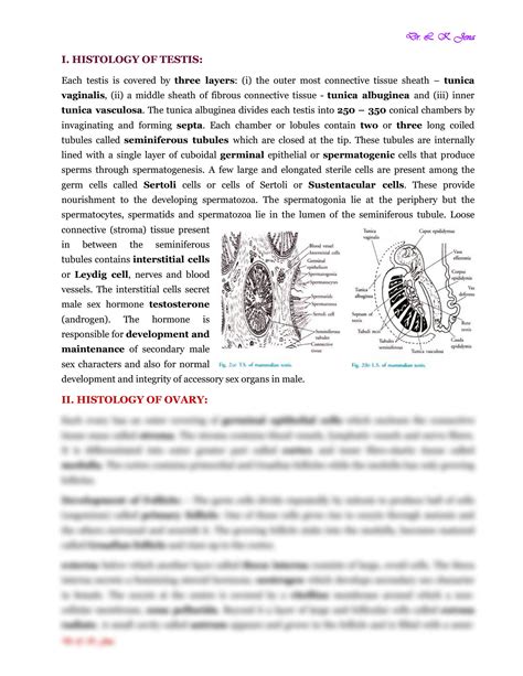 Solution Histology Of Testis And Ovary Studypool