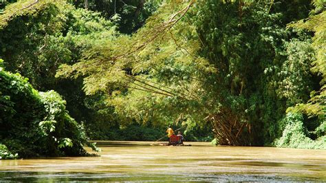 Martha Brae River, Montego Bay - Book Tickets & Tours | GetYourGuide