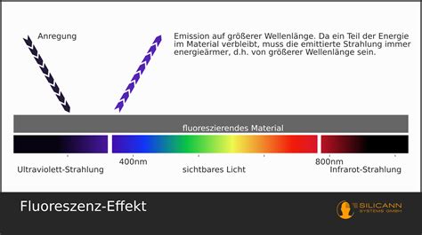 The Difference Between Fluorescence And Luminescence