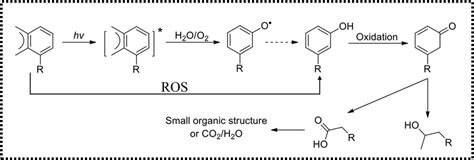 Proposed Photodegradation Pathway Of Polycyclic Aromatic Hydrocarbons