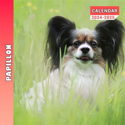 Papillon Calendar Month Planner To Keep You On Track