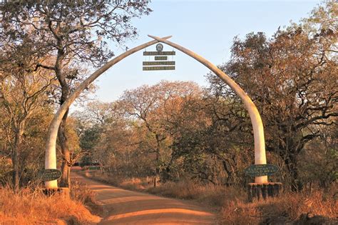 Katavi National Park Gates Tanzania Wildlife Safaris Tours Tanzania