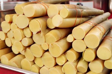 Fakta Menarik Rebung Tunas Bambu Muda Yang Jadi Isian Lumpia