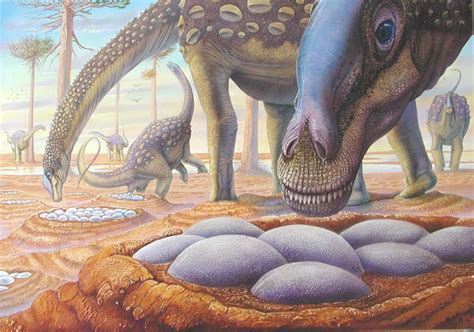 Saltasaurus | Mesozoic Era Wiki | FANDOM powered by Wikia