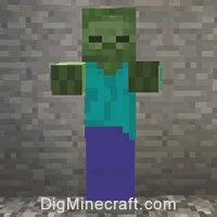 Swampland in Minecraft