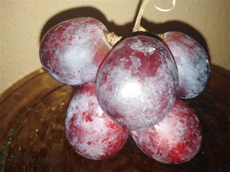 grape cluster bunch  grapes  photo  pixabay pixabay