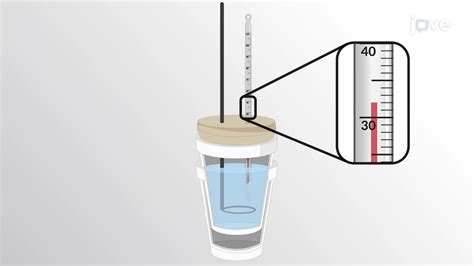 Coffee Cup Calorimeter Diagram