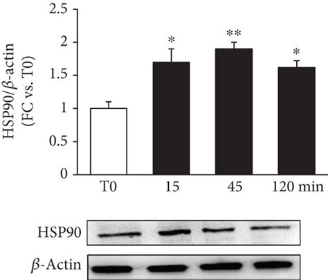 Effects Of Is On Hsp After Different Times Of Is Exposure