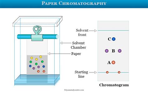 Paper Chromatography