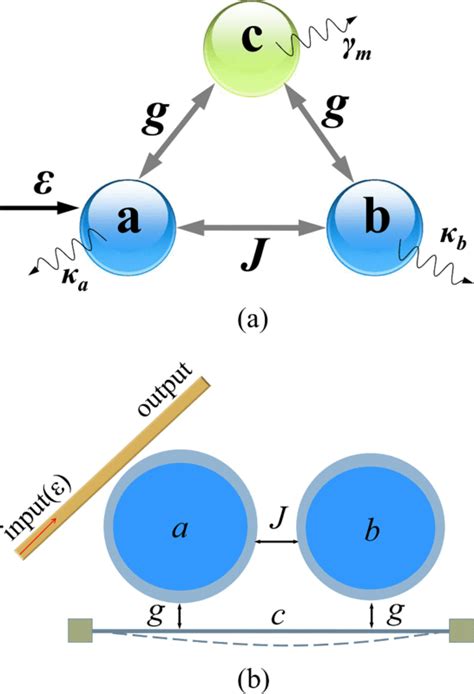 A Schematic Of The Three Mode Optomechanical System Consisting Of Two