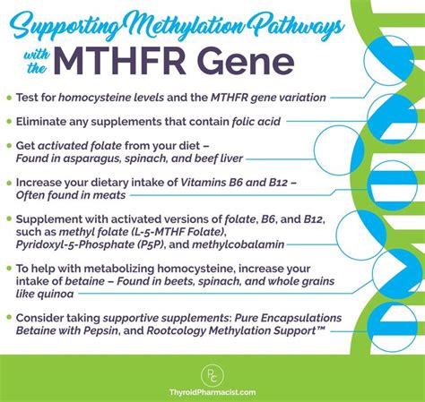 Pin On MTHFR Detox