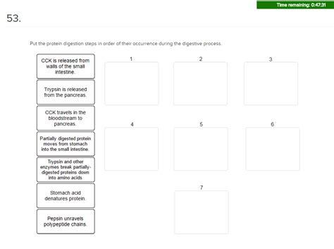 Solved Put the protein digestion steps in order of their | Chegg.com