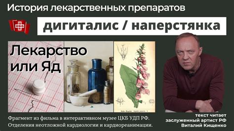 Дигиталис для лечения сердечной недостаточности (Наперстянка) / История ...
