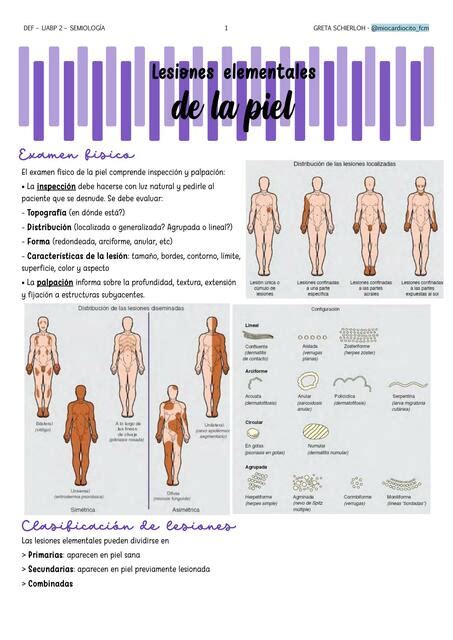 Lesiones Elementales De La Piel Udocz Hot Sex Picture