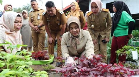 Wawali Makassar Fatmawati Rusdi Pantau Kesiapan Lomba Kelurahan Tingkat