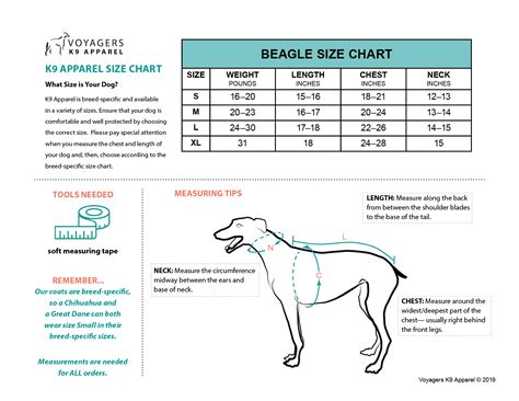 Beagle Size Chart