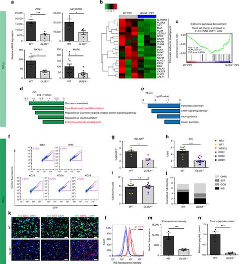 Biallelic Mutation Of Glis3 Affects Pancreatic Differentiation And The