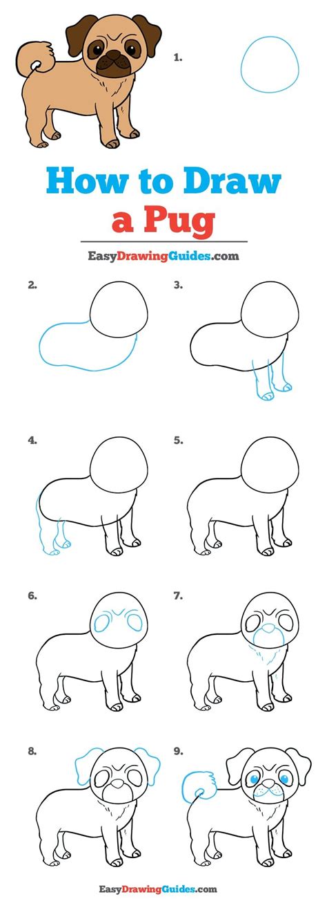 How To Draw A Pug Really Easy Drawing Tutorial