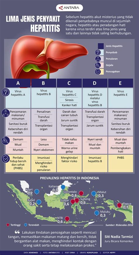 Lima Jenis Penyakit Hepatitis Infografik Antara News