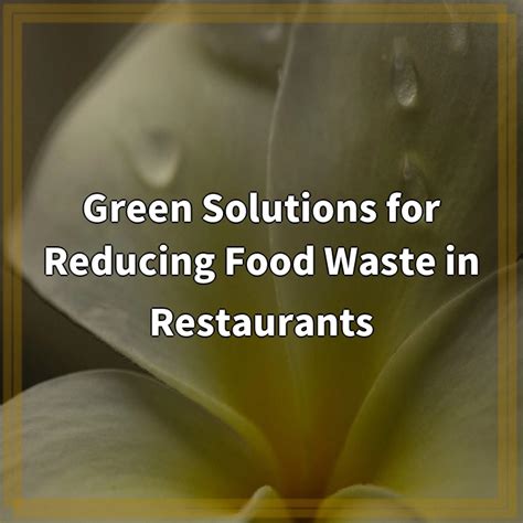 Green Solutions For Reducing Food Waste In Restaurants Green News