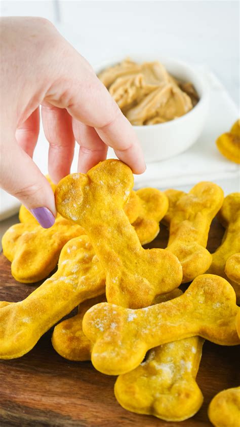 How To Make Easy Homemade Air Fryer Dog Treats Healthy And Delicious