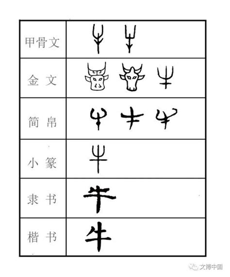 牛字的演变过程由来 图库 五毛网