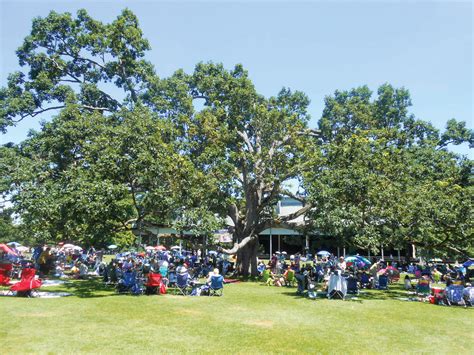 Tanglewood Festival des Boston Symphony Orchestra | concerti.de