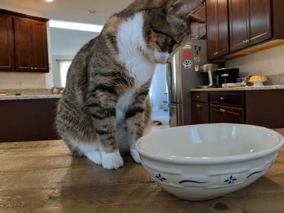 Gay Virgin Mary Tumblr Tumbex