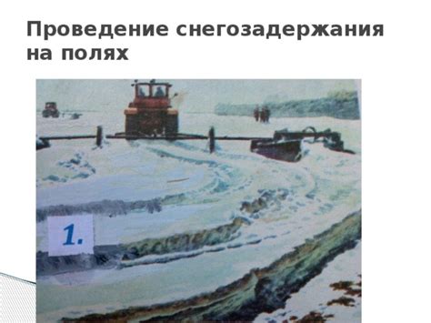 Урок в 8 классе по теме "Воздействие человека на природу. Рациональное ...