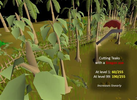 Teak tree | Old School RuneScape Wiki | FANDOM powered by Wikia