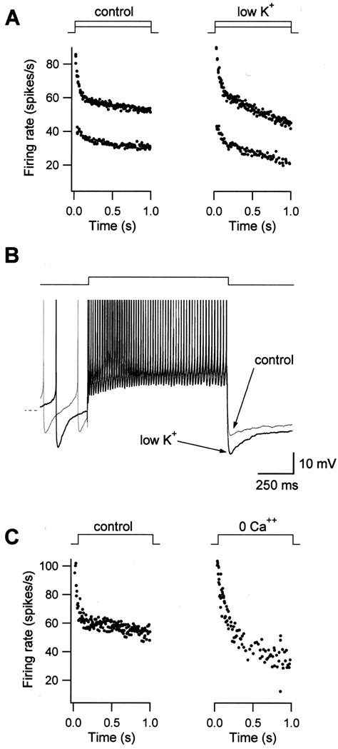 Spike Dependent K Currents Underlie Firing Rate Adaptation A FRA