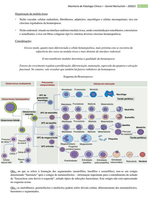 Solution Monitoria Patologia Cl Nica Bases Da Hematologia Studypool