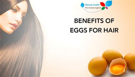 Benefits Of Eggs For Hair 7 Benefits For Thinning For Hair