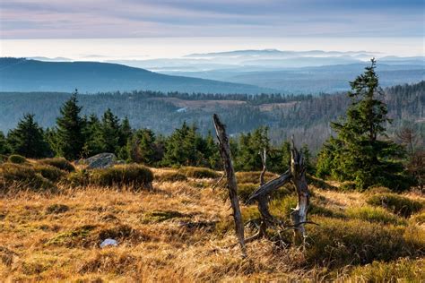 De Mooiste Natuurgebieden Van Duitsland